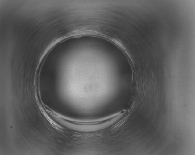 X0000052951438200507300033
