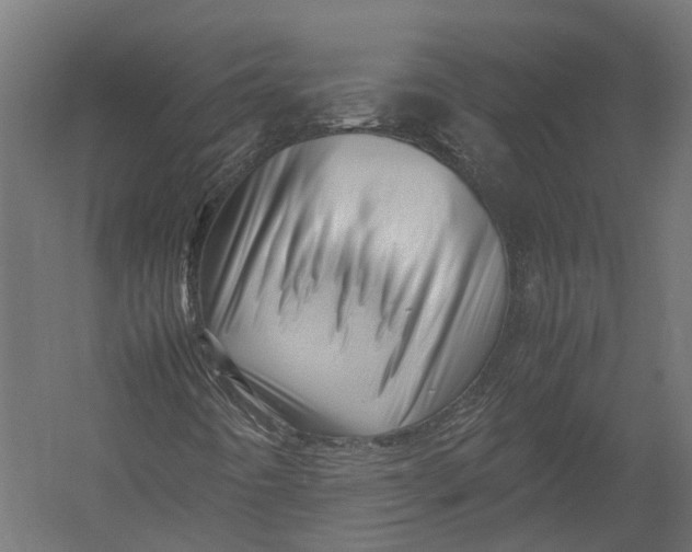 X0000052951442200507300033