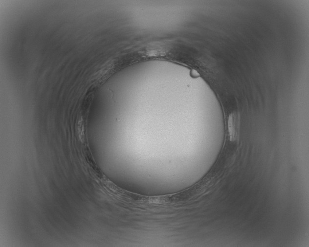 X0000052951443200507300033