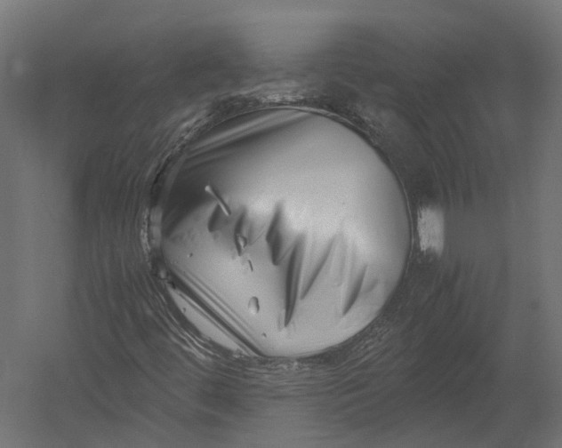 X0000052951444200507300033
