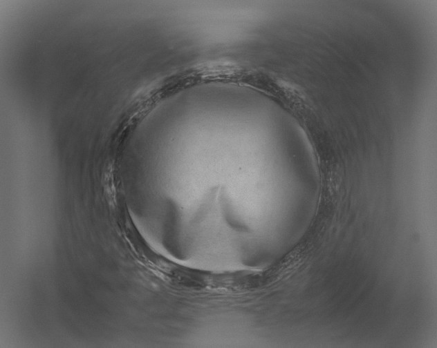 X0000052951445200507300033