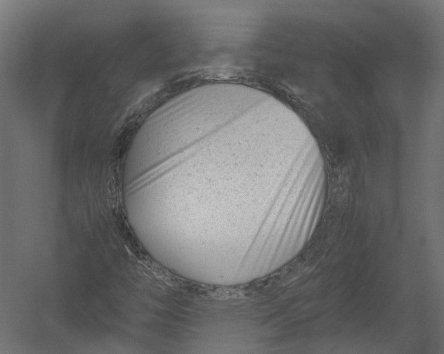 X0000052951446200507300033