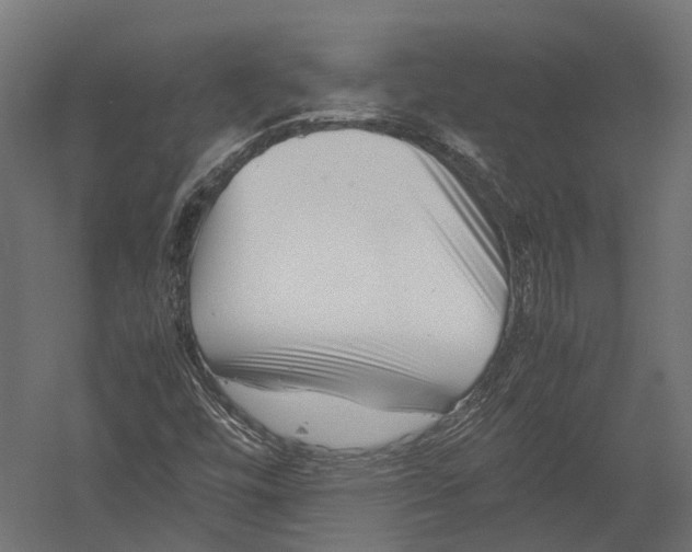 X0000052951448200507300033