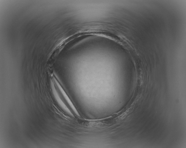 X0000052951449200507300033