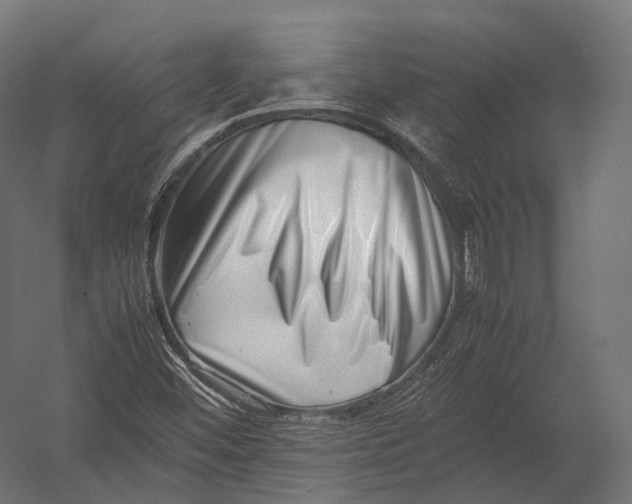 X0000052951452200507300033