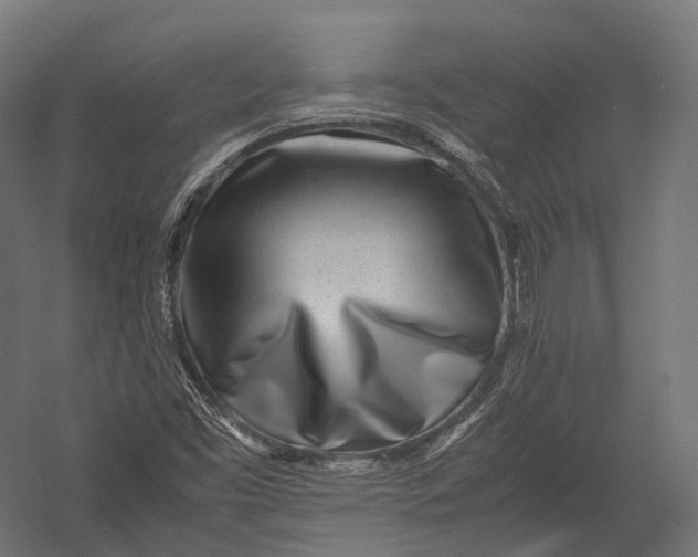 X0000052951453200507300032