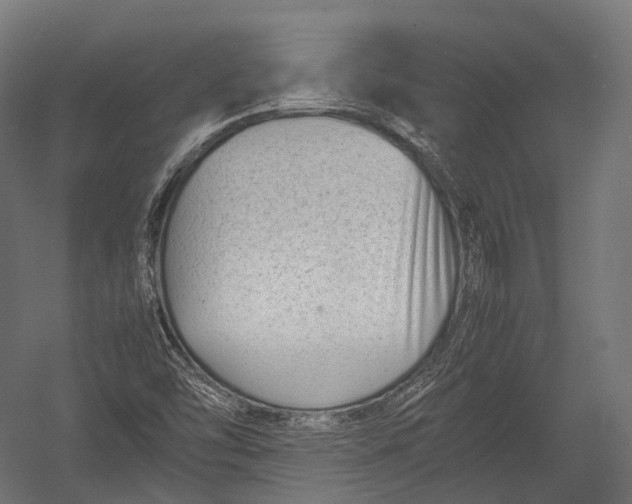 X0000052951454200507300032
