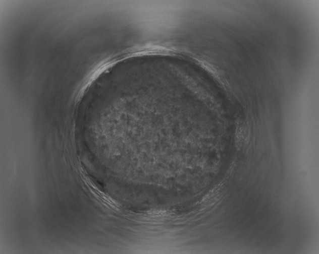 X0000052951455200507300032