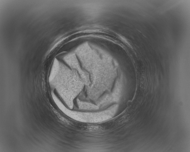 X0000052951456200507300032