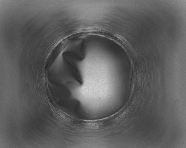X0000052951457200507300032