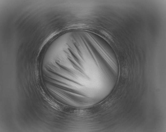 X0000052951458200507300032
