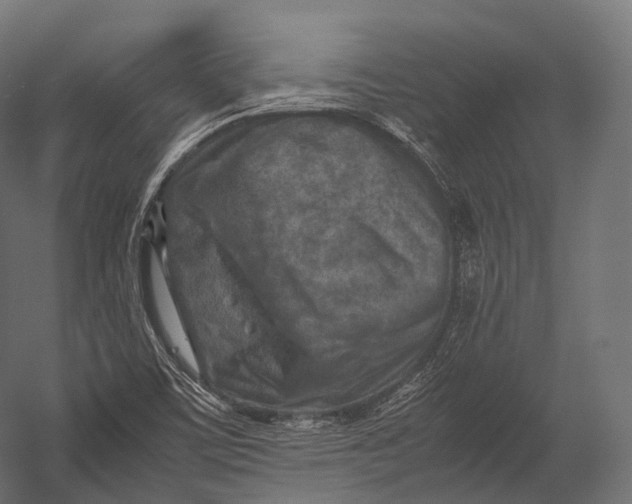 X0000052951459200507300032