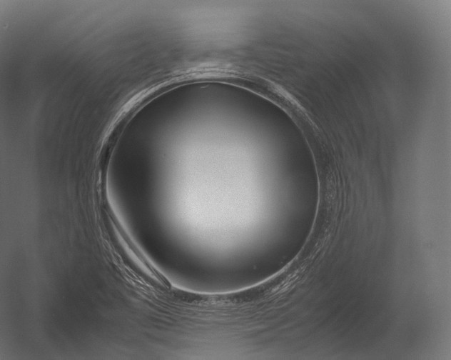 X0000052951461200507300032