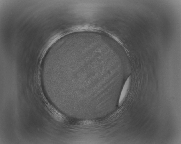 X0000052951463200507300032