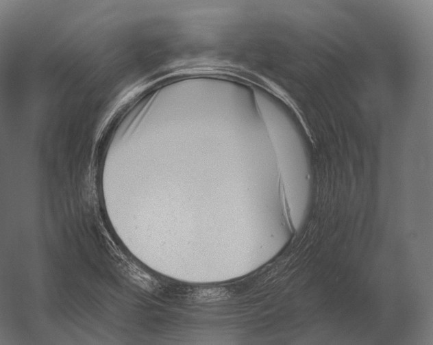 X0000052951464200507300032