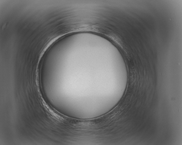 X0000052951468200507300032