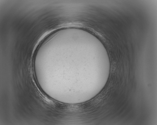 X0000052951470200507300032