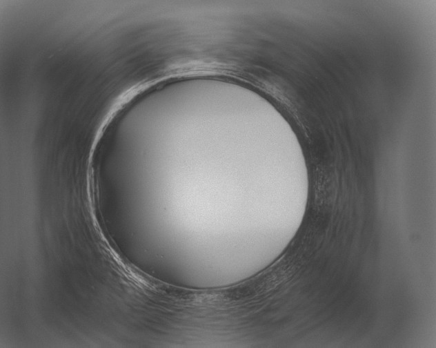 X0000052951472200507300032