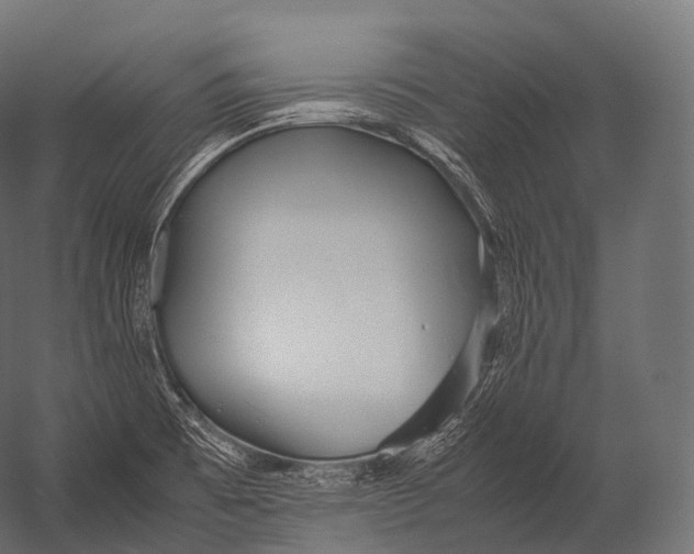 X0000052951473200507300032