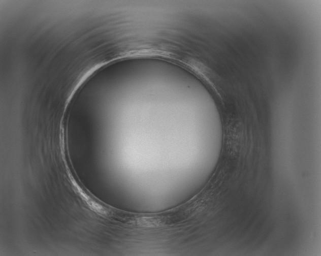X0000052951476200507300032