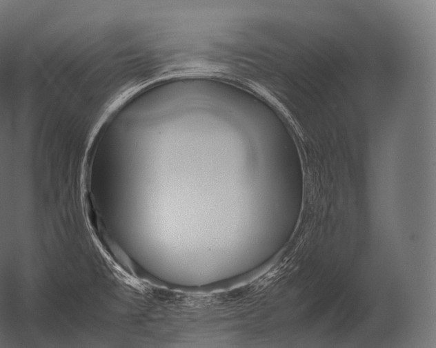 X0000052951477200507300032