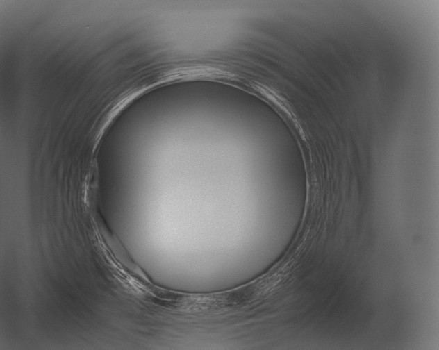 X0000052951481200507300032