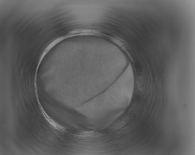 X0000052951482200507300032