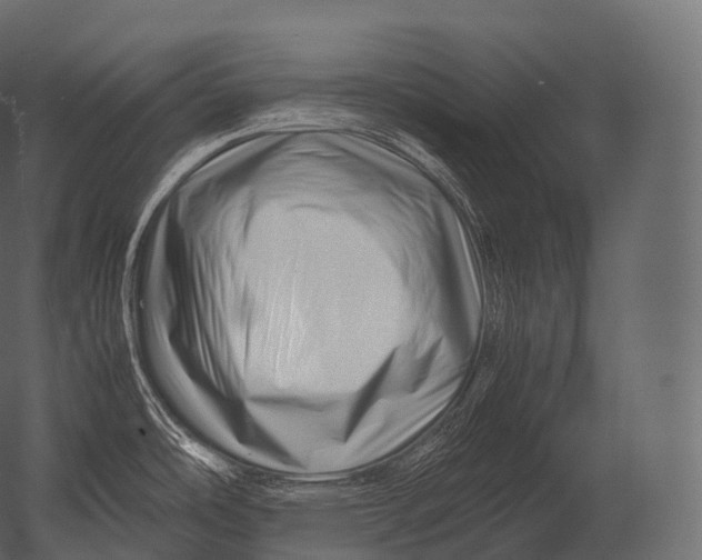 X0000052951486200507300032