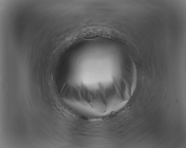 X0000052951489200507300031