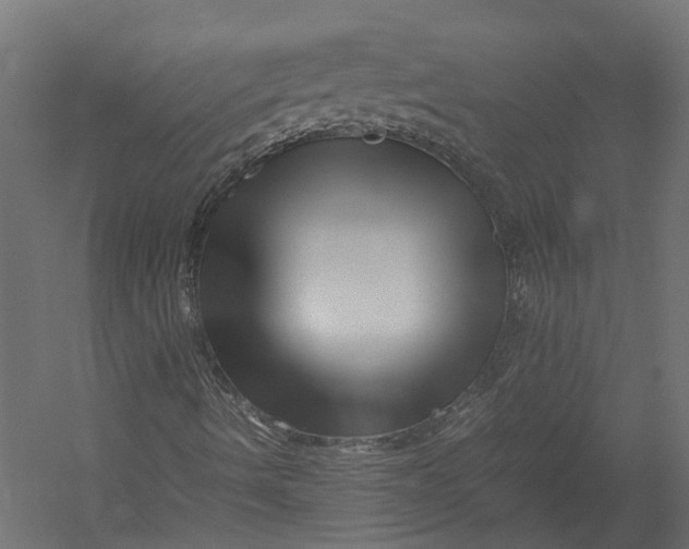 X0000052951490200507300031