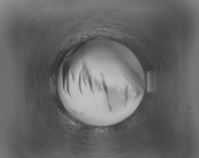 X0000052951491200507300031