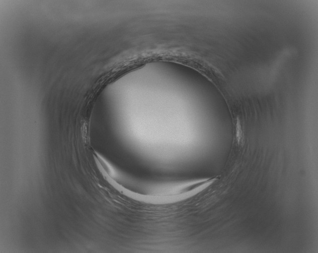 X0000052951492200507300031
