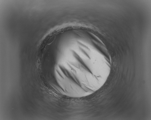 X0000052951495200507300031