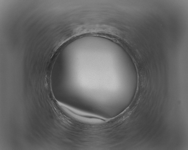 X0000052951497200507300031