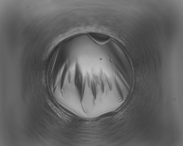 X0000052951499200507300031