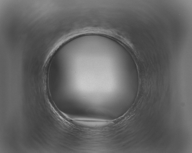 X0000052951504200507300031