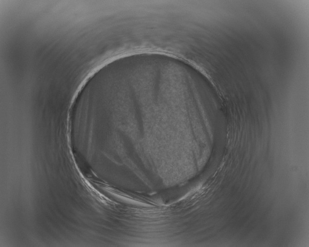 X0000052951508200507300031