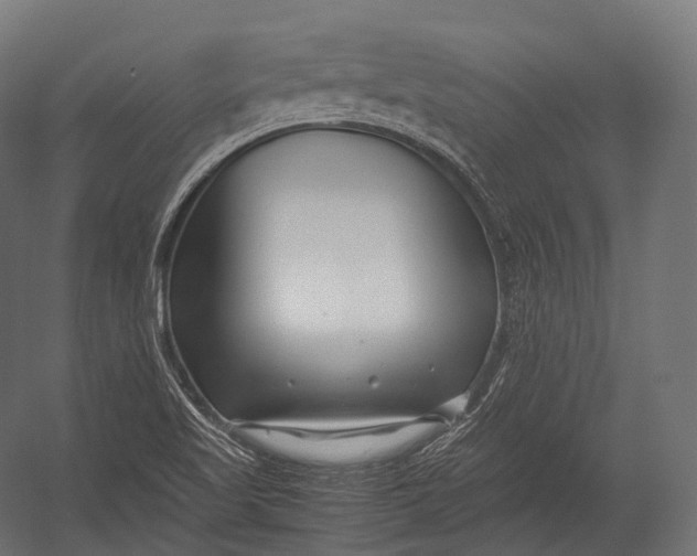 X0000052951509200507300031