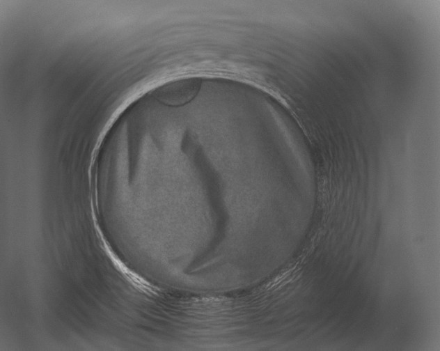 X0000052951515200507300032