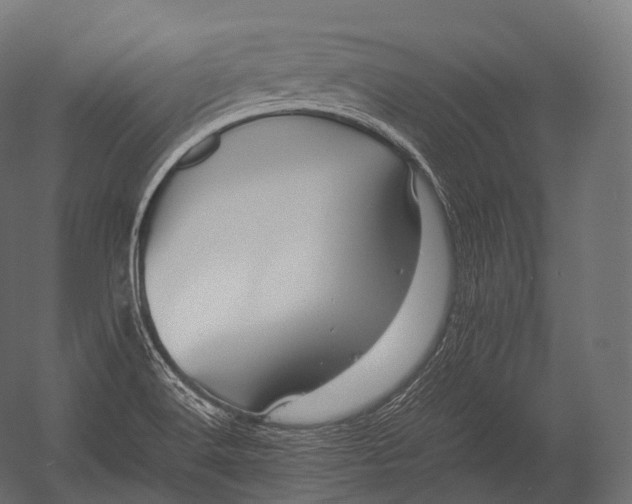 X0000052951516200507300032