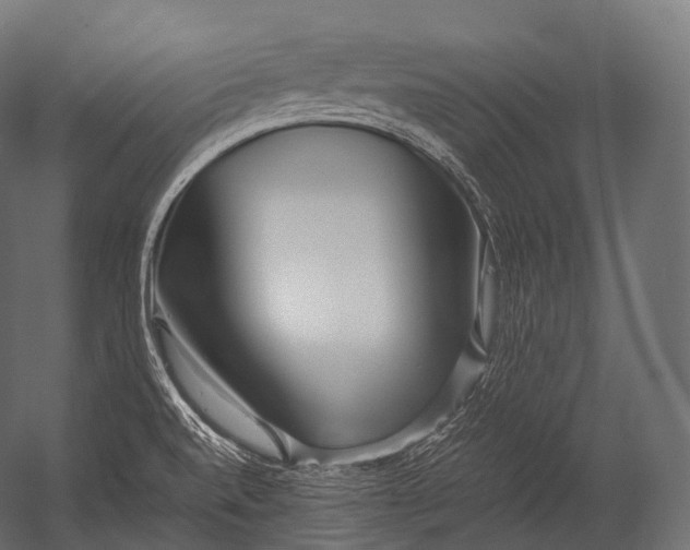 X0000052951520200507300032