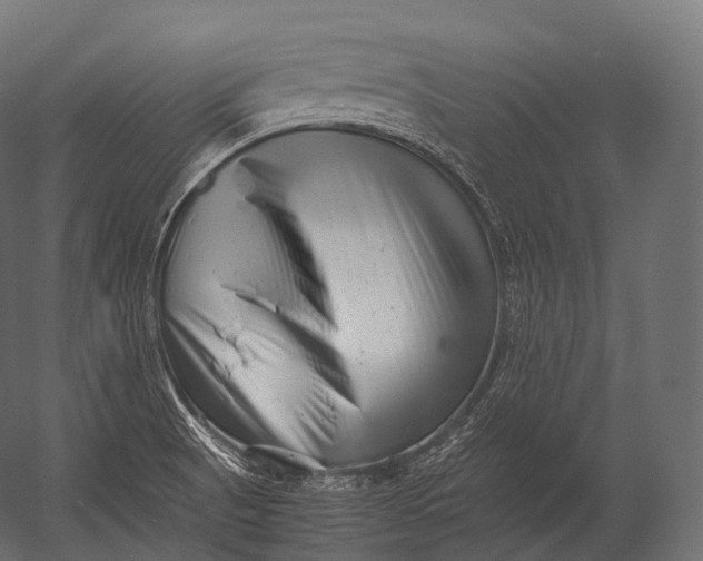 X0000052951521200507300032