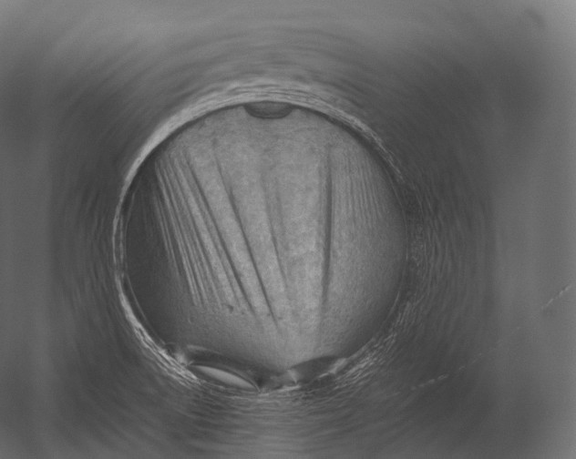 X0000052951522200507300032