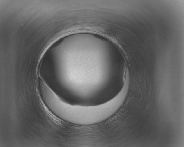 X0000052951524200507300032