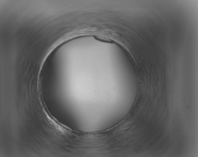 X0000052951527200507300032