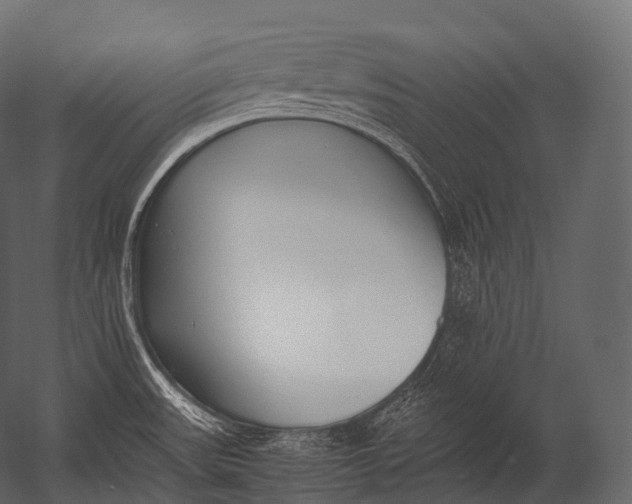 X0000052951531200507300032