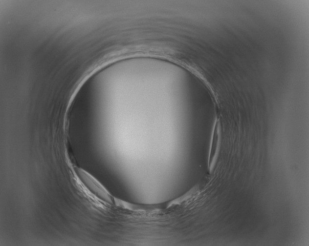 X0000052951532200507300032