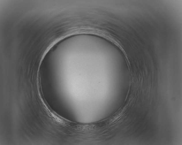 X0000052951533200507300032