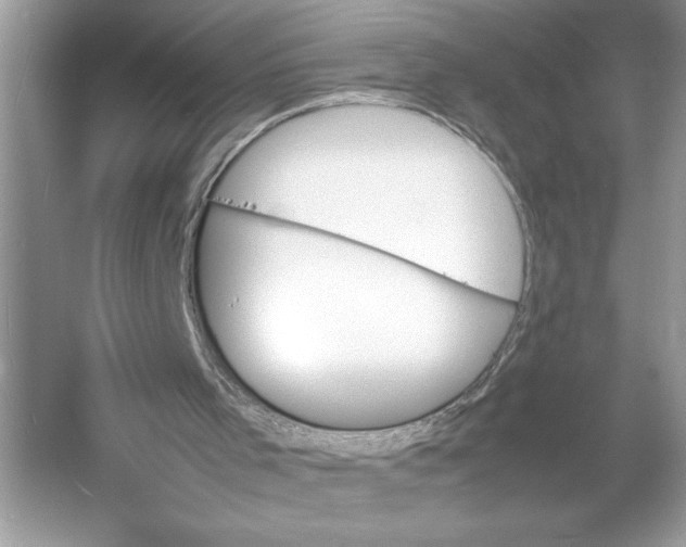 X0000052950001200508050934