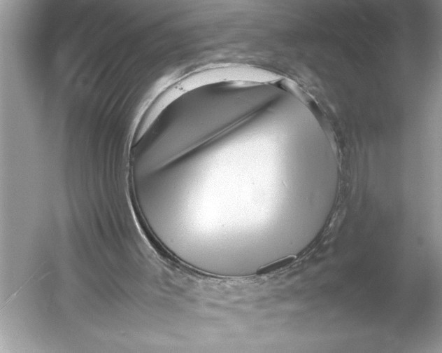 X0000052950003200508050934